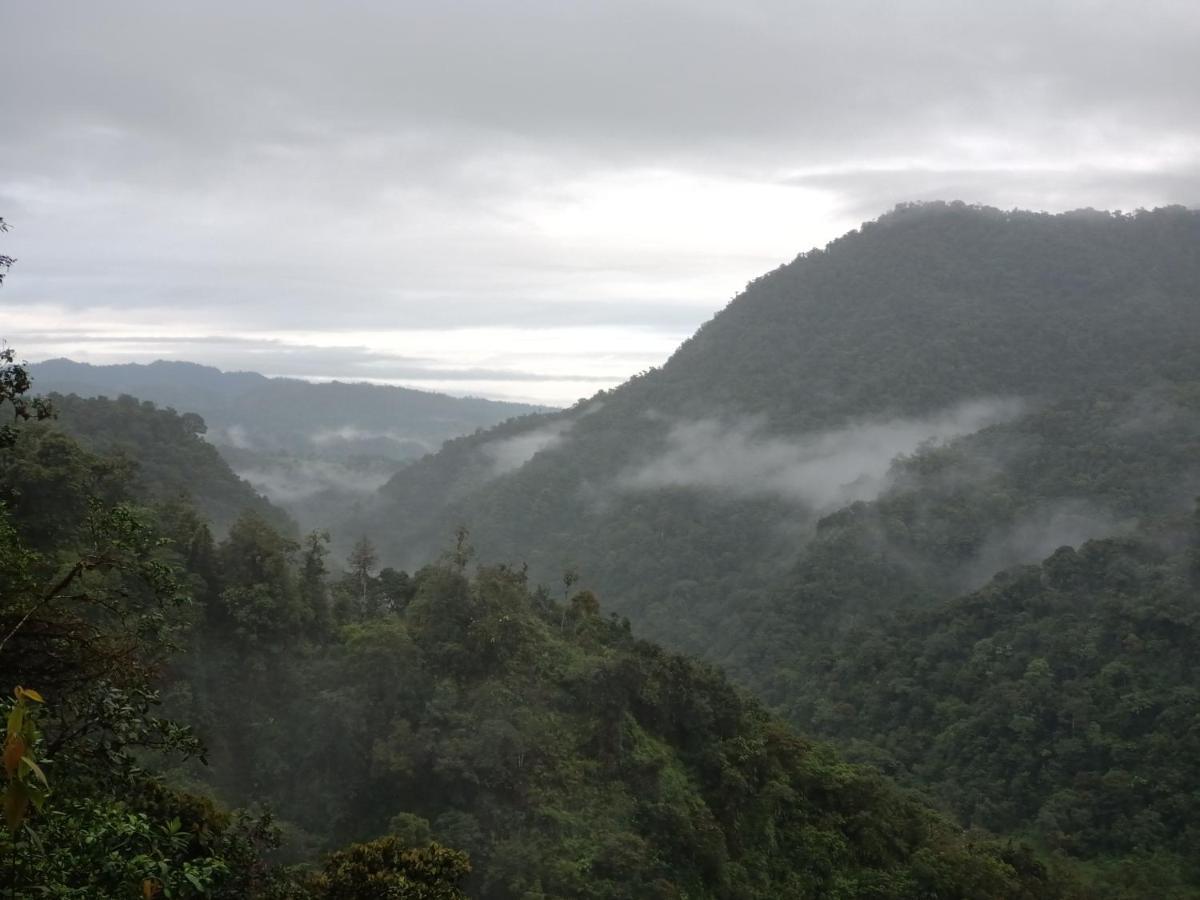 Biohostal Mindo Cloud Forest Extérieur photo